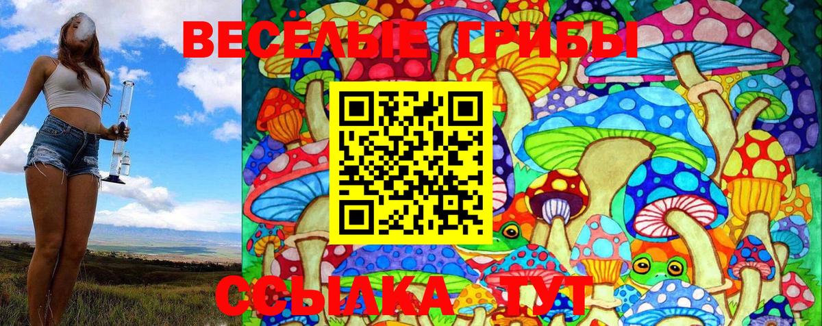 Галлюциногенные грибы мухоморы  Вход с VPN  Звенигород 